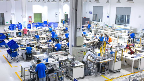 捂了三年，阿里的犀牛工廠到底在“織”什么？